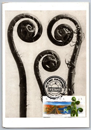 Canada 1998 New Brunswick FDC Maxi Card