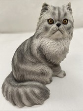 Leonardo Cat Studies Persian Cat 2009