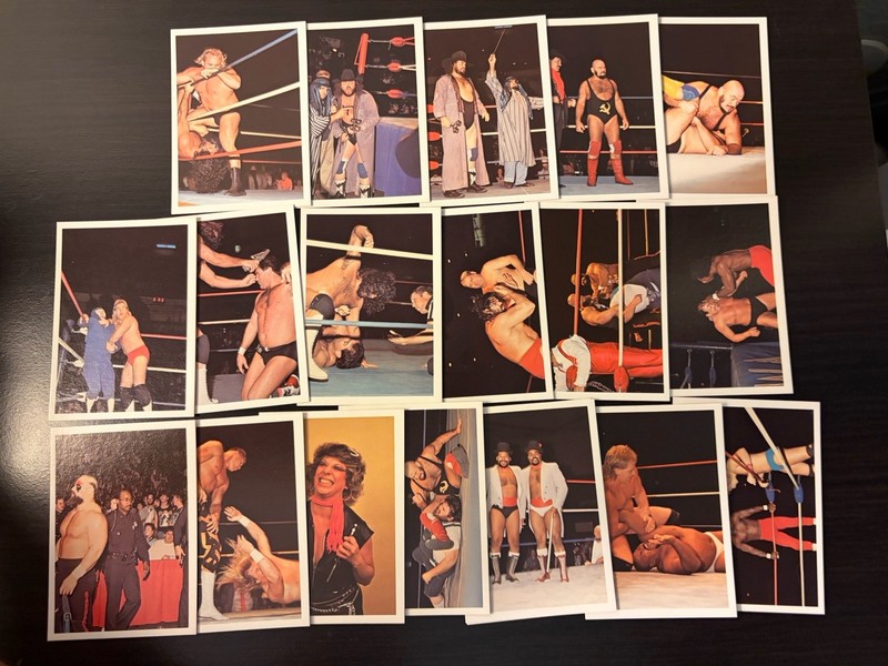 Vintage NWA 19 Card Lot Kevin Sullivan Blanchard Ivan Koloff Barbarian Windham
