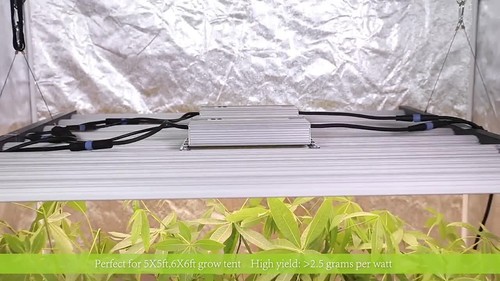 PHLIZON 1000W LED Grow Light Bar Full Spectrum for Indoor Grow Tent Flowering - Video 1 of 1