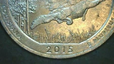 Four (4) 2015-P Kisatchie Quarters with Errors on Each. See Photos! Chip Claw! 