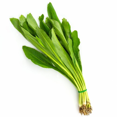 Fresh Culantro Actual Leaves 1 Lb Eryngium Foetidum Recao Ngo Gai