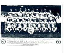 1983 WORLD CHAMPION BALTIMORE ORIOLES TEAM 8x10 PHOTO  BASEBALL MARYLAND