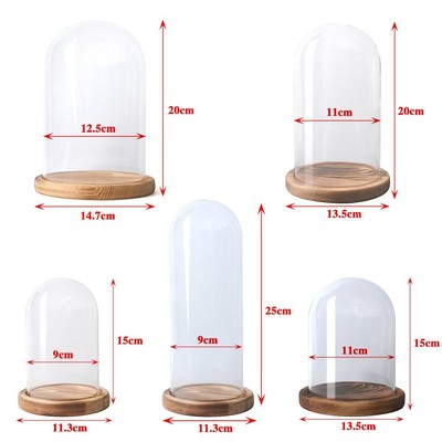 Glass ClocheBell Jar DomeWood Base Transparent ToppedChristmas Decor