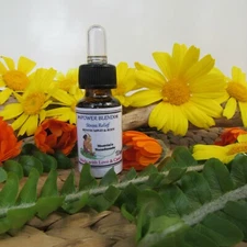 Stress Relief | Renew Mind and Body | Pure Essential Oils | Kissable Gift 10ml