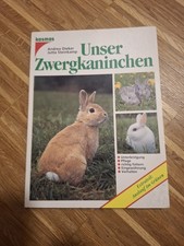 Unser Zwergkaninchen Dieker