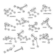 Zodiac Star Sign Cartilage Ear Bars  Body Jewellery Wholesale Joblot of 32