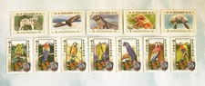 2021 Topps Allen & Ginter Lot Birds Of A Feather & Rallying Back (12 Cards)