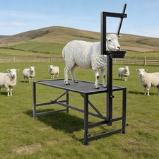 Goat Milking Stand Farm Animals Livestock Milking Stand 600lbs Load Feeding Bin