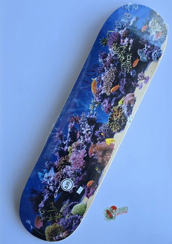 Mini Logo Fish Tank 8.25" Deck