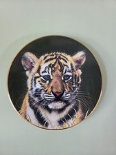 Vintage 1991 Princeton Gallery Cubs of The Big Cats Plate Collection Tiger Cub