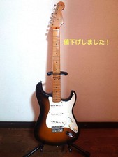 Fender Mexico50s Stratocaster con custodia morbida e altro