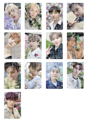 SEVENTEEN IN Your Choice HMV OFFICIAL PHOTO CARD JEONGHAN SEVENTEEN IN Your Choice HMV OFFICIAL PHOTO CARD JEONGHAN