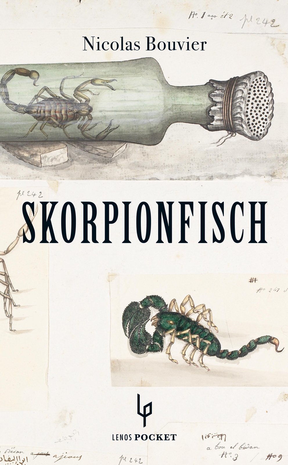 Thumbnail - Skorpionfisch Nicolas Bouvier
