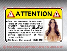 #5 Remove your bra WARNING LABEL to ride in this car decal sticker Hot Rod Fun