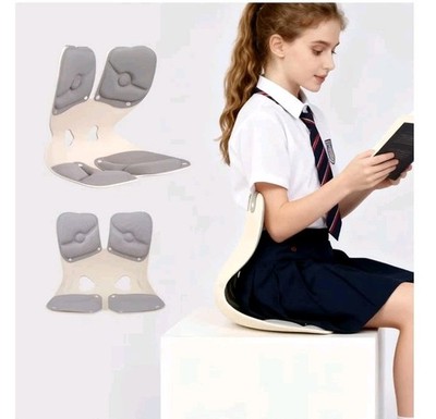 Ergonomic Back and Lumbar Support, Legless Floor Chair with Back Support,...