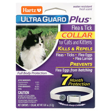 Hartz Ultraguard Plus Flea Tick Collar for Cats and Kittens