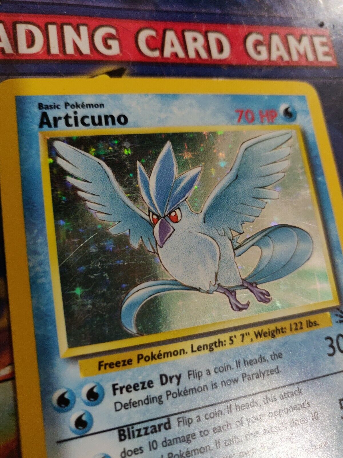 Articuno Silver Shiny Pokémon Card in A Magnetic Freestanding 