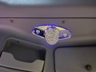 Freightliner Cascadia Lamp Interior.  Set Of Two