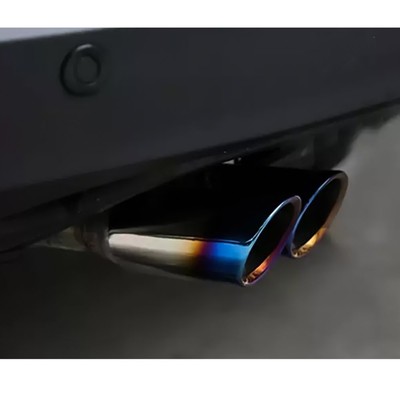 Car  Rear Dual Muffler Tip Exhaust Pipe, Stainless Steel Chrome Effect 2.5''*6.5''