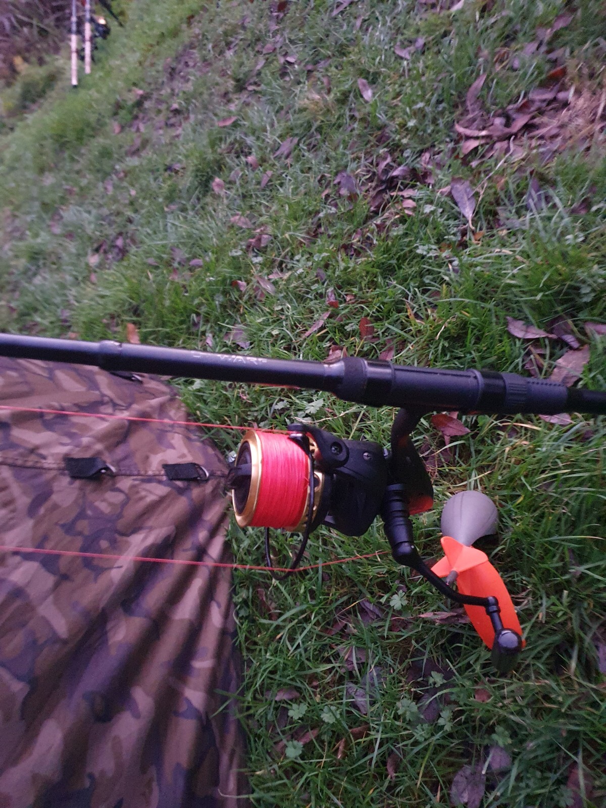carp fishing 2 rod set up eBay