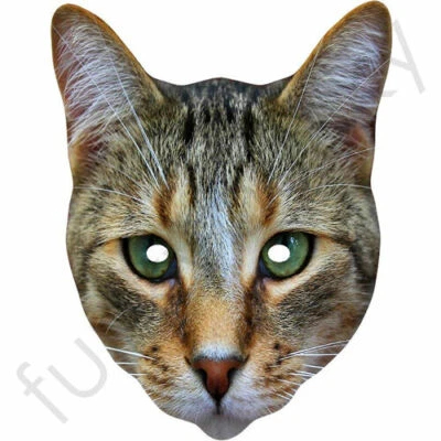 FUNKYBUNKY Cat Animal Fun Celebrity Card Face Mask - Ready To Wear - Fancy Dress