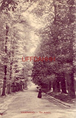 ENGLAND. HAMPSTEAD - THE AVENUE woman in middle of road
