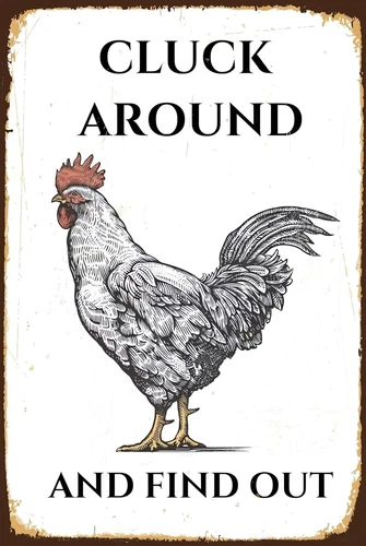 Funny Chicken Coop Sign 'Cluck Around And Find Out' Vintage Metal Tin White