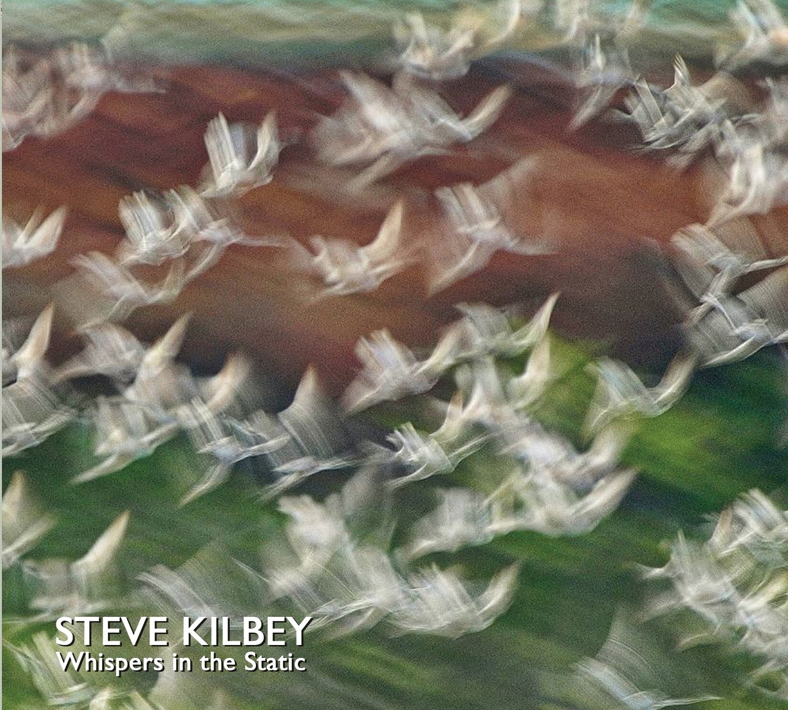 Steve Kilbey Whispers in the Static (CD) Album
