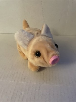Battery Operated Pig Who Walks And Nose Goes In And Out