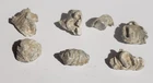 Lot Of 7 Dug Civil War 💥 🇺🇸 💣 Fired Hard Impact  Bullets Gettysburg PA