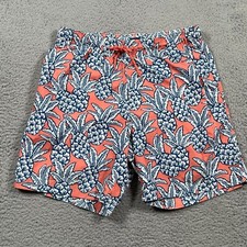 George Boardshorts Men's Large Pineapple Print Elastic Waist Drawstring Lined