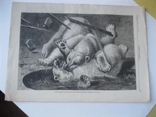 Vintage Print,POLAR BEAR FIGHT,Thomas Nast,Harpers,March 1877