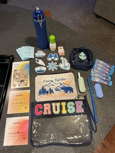 Cruise Travel Kit
