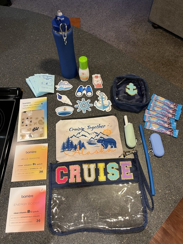 Cruise Travel Kit