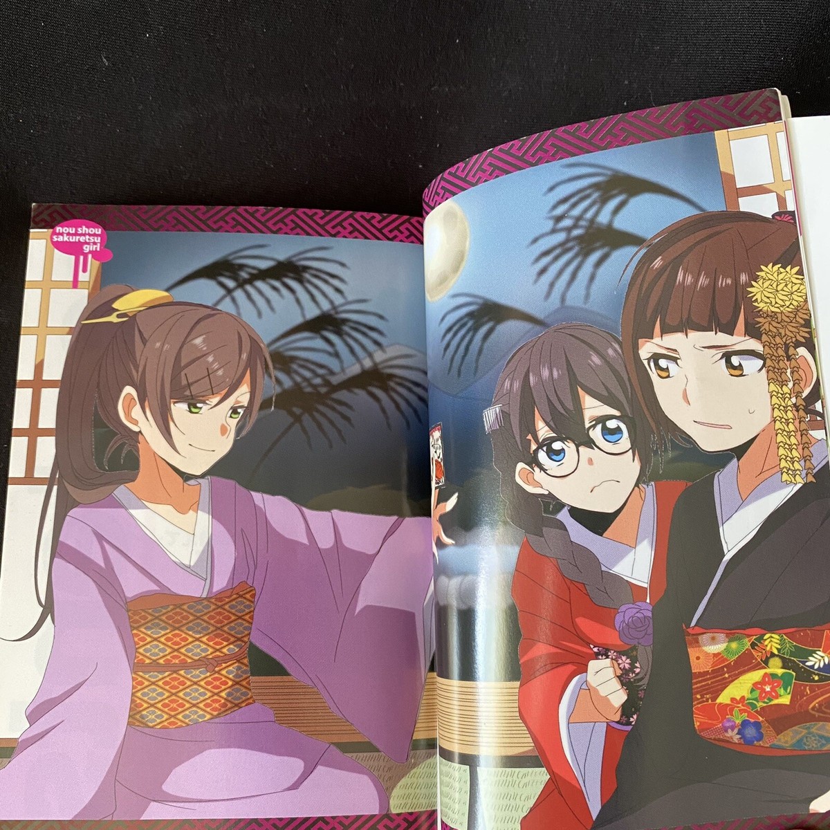 Japanese Light Novel #3Nou Shou Sakuretsu Girl Erika Yoshida