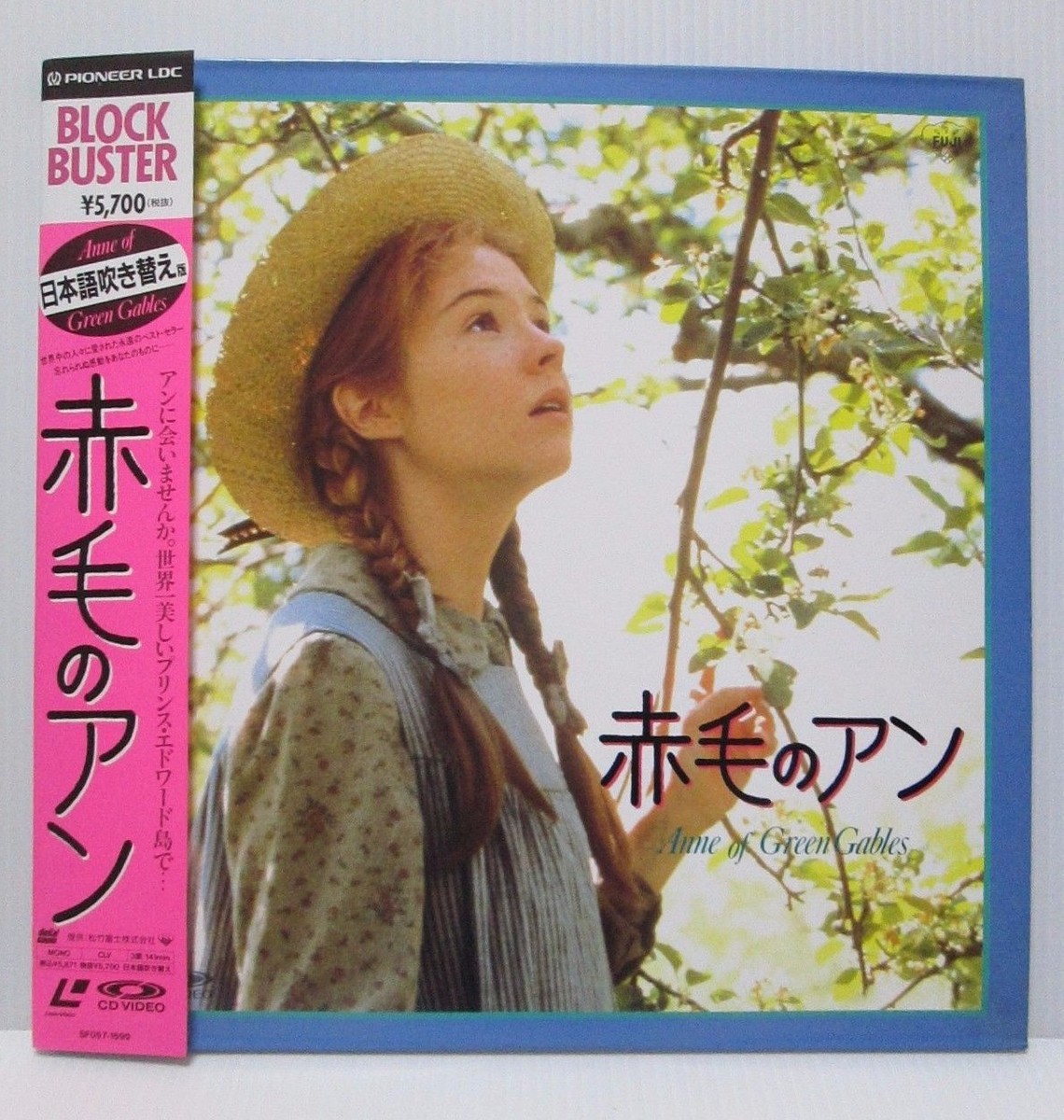 ANNE OF GREEN GABLES - Japanese voice LASER DISC | eBay