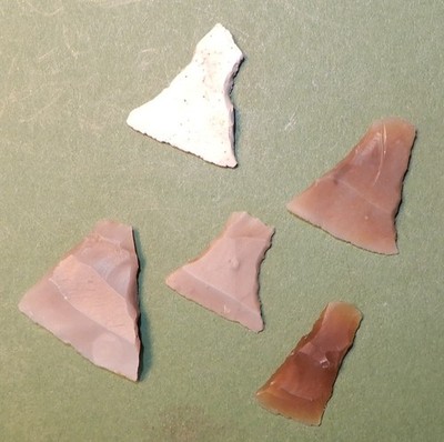 5 ARROW POINTs  Transverse edge-arrows, Diff. color & shape.  DANISH MESOLITHIC