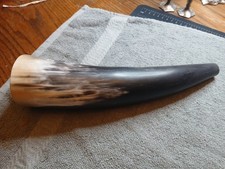 viking drinking horn
