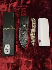 Joe Houser Custom Buck Strider Solution 888 Skull Knife
