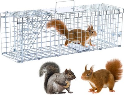 24  Humane Animal Trap Live Animal Trap Cage Squirrels Small Stray Cats Rabbits