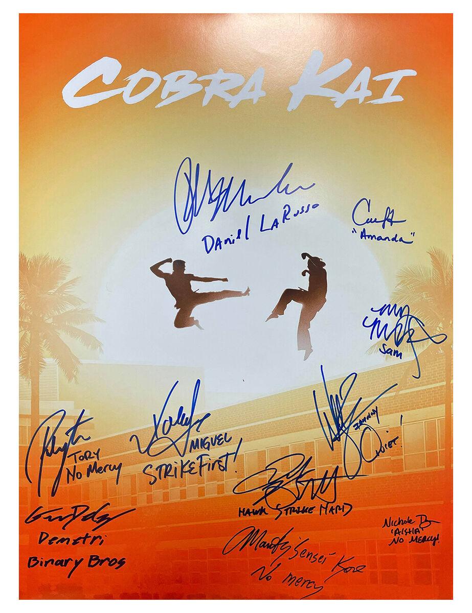 hawk cobra kai - Cobra Kai - Posters and Art Prints