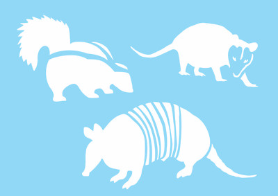 Skunk Opossum Armadillo STENCIL (3) Animal Hunt Outdoor Nature DIY Craft Signs 
