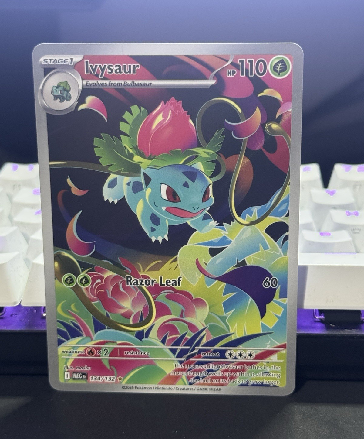 Pokemon TCG Ivysaur 134/132 Mega Evolution Illustration Rare NM