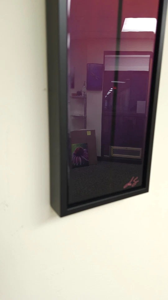 Pintura Original Diente de León Arte Floral Colorido Negro Enmarcado Decoración de Pared 6"x36" Foto 4 de 4