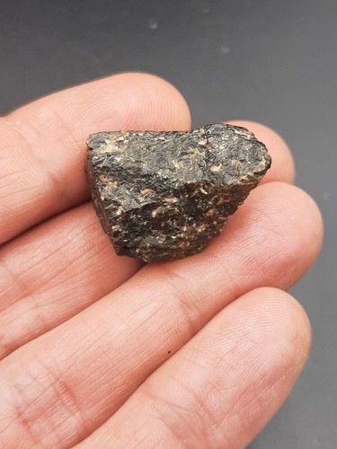 Meteorite Chondrite NWA 869 - 11,17g / 2,3 cm Tindouf Algeria Nice fusion crust - Picture 7 of 9