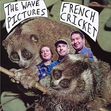 Image of WAVE PICTURES - FRENCH CRICKET - Vinyl Record VL - E3447z