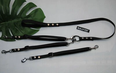 BULLYZEI Koppel-Leine erweiterbar, verstellbar gummiert 15mm GRAU, für mehrere Hunde Gr.S