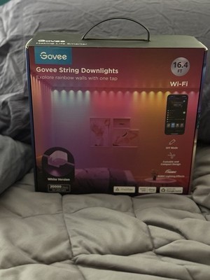Govee 16.4 ft Wi-Fi RGBIC LED String Downlights App/Voice Control H808A