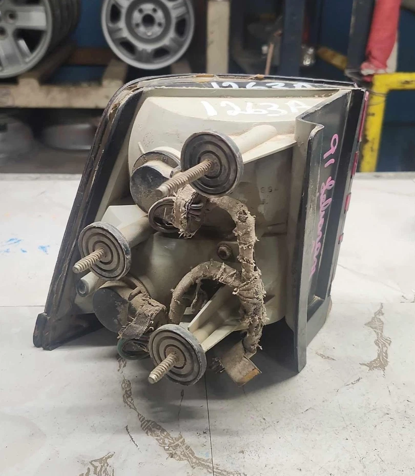 CHRYSLER LEBARON 1987-1995 LUZ TRASERA PASAJERO DERECHO LÁMPARA EXTERIOR CROMO MOLDEADO Foto 2 de 4